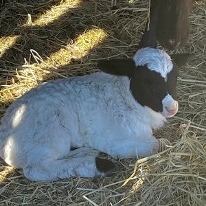 Meet your Posher, Leearna